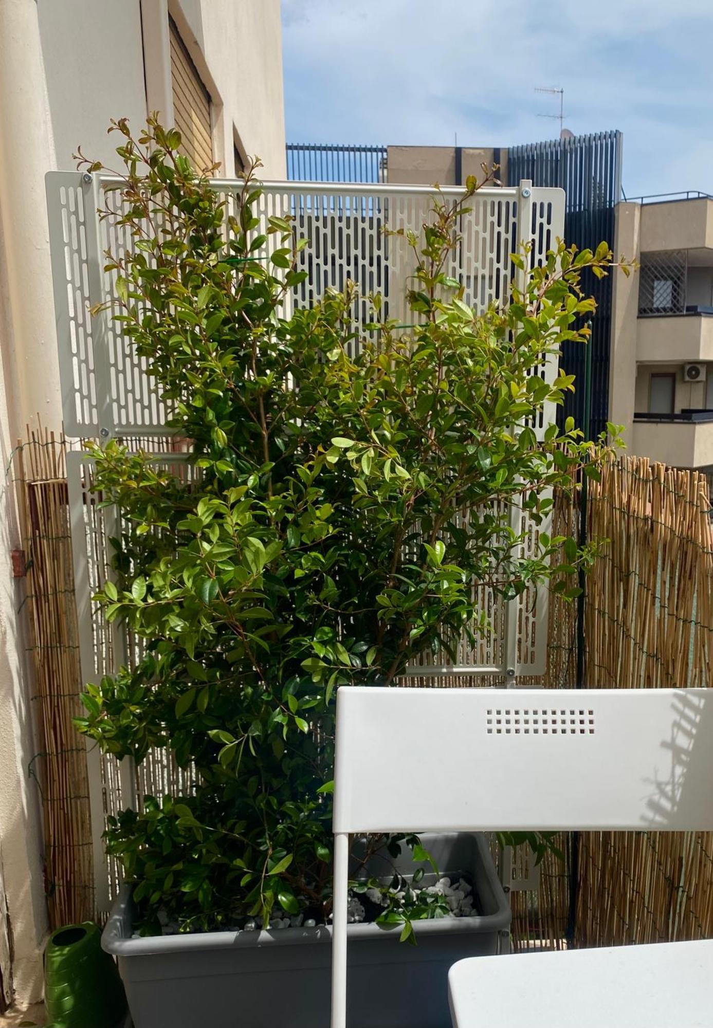 Via Roma A Un Passo Dalle Universita! サッサリ エクステリア 写真